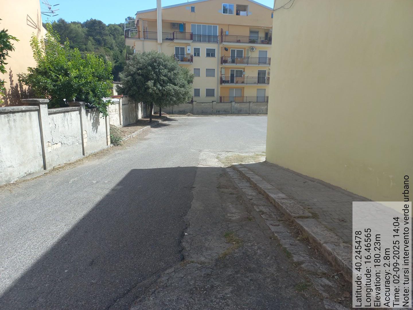 Galleria Fotografica Immagine