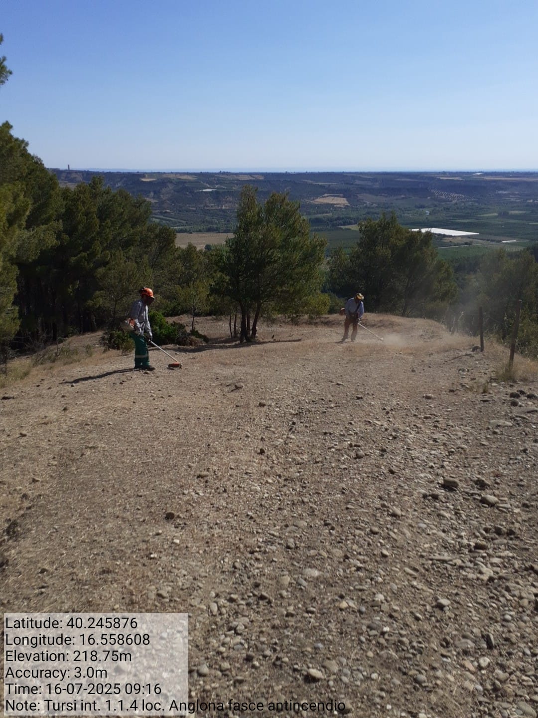 Galleria Fotografica Immagine