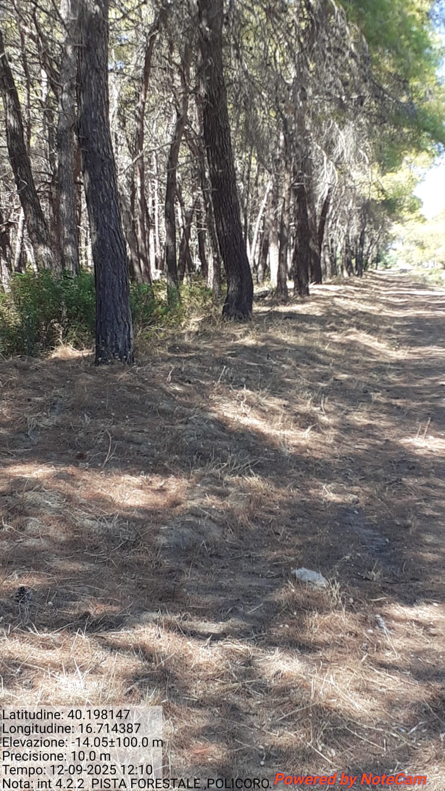 Galleria Fotografica Immagine