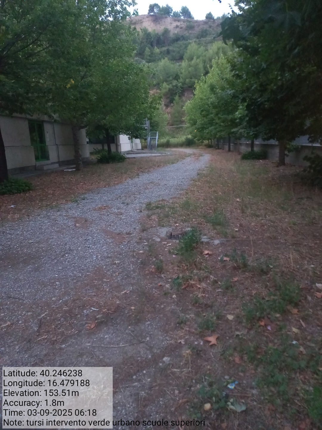 Galleria Fotografica Immagine