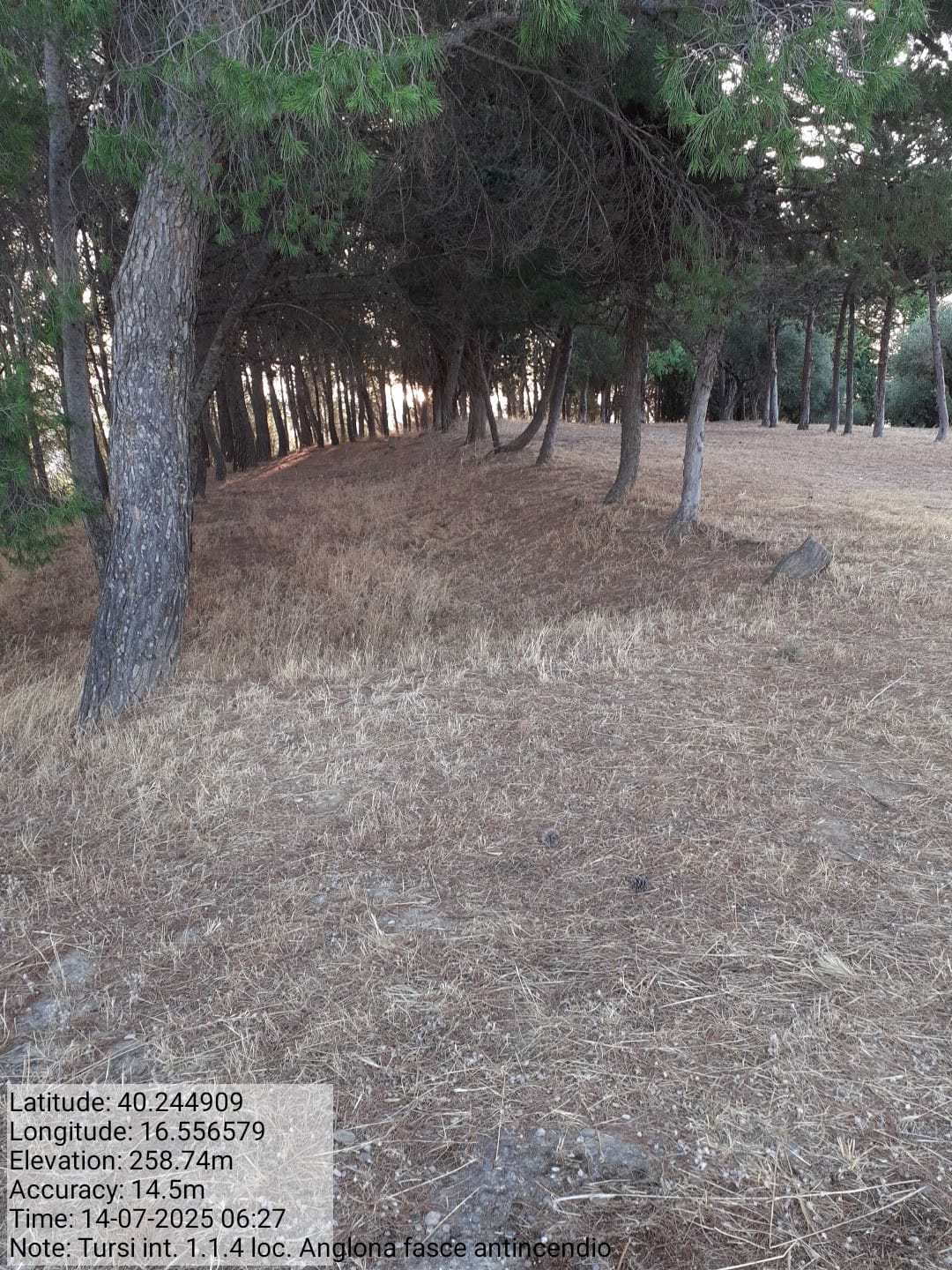 Galleria Fotografica Immagine