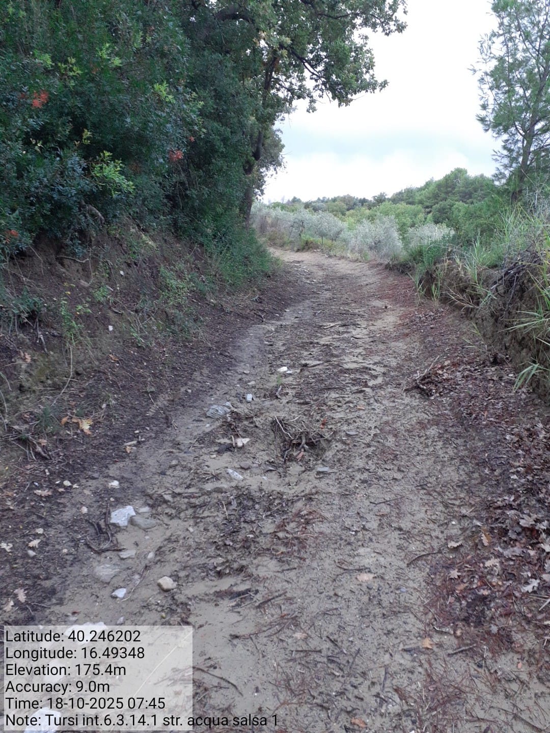 Galleria Fotografica Immagine