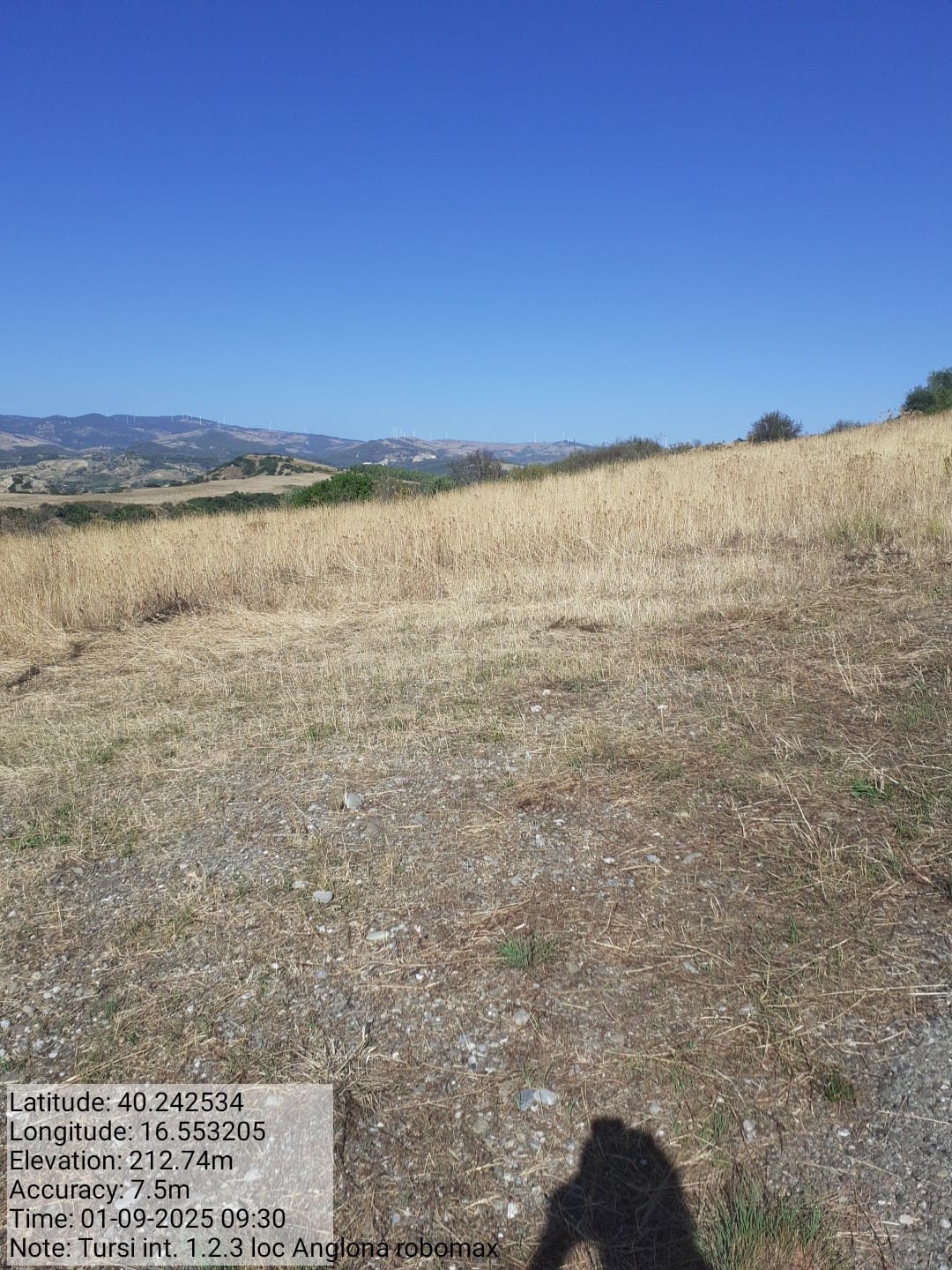 Galleria Fotografica Immagine