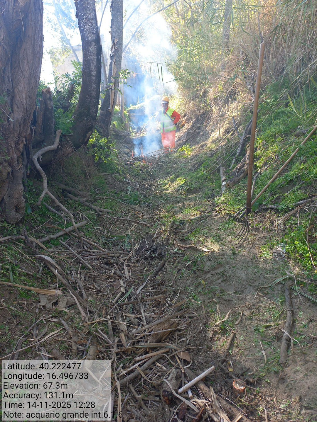 Galleria Fotografica Immagine