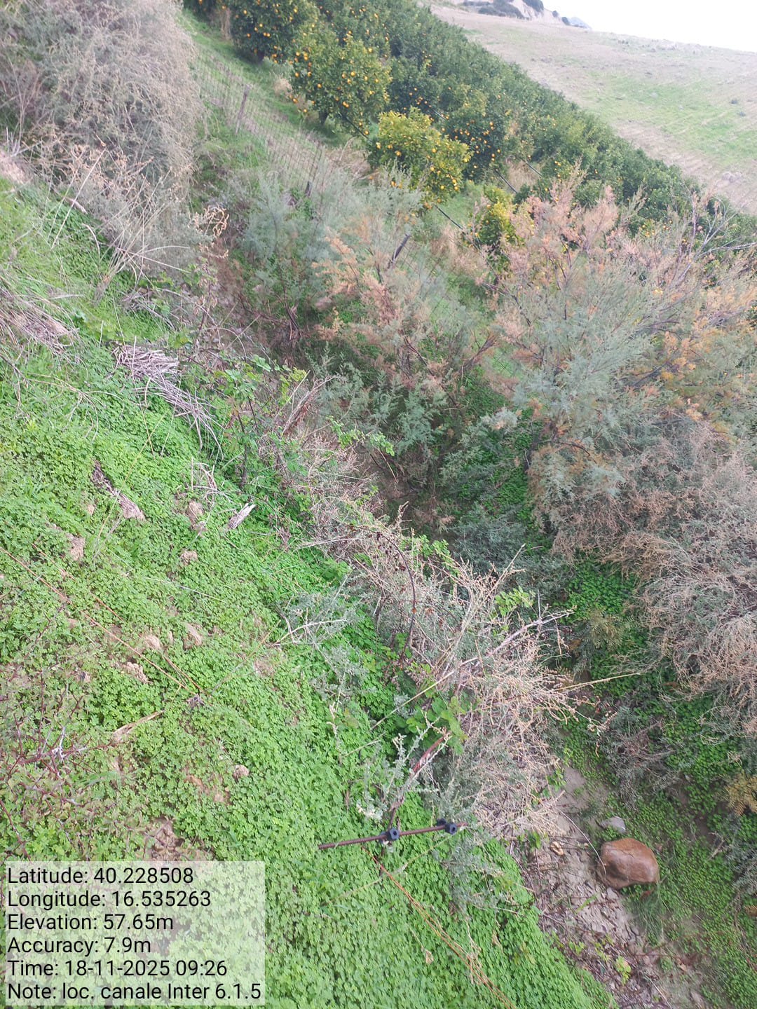 Galleria Fotografica Immagine