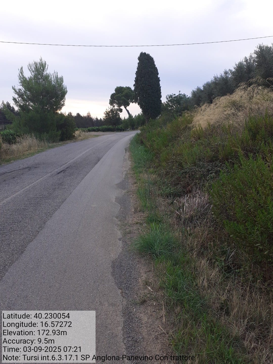 Galleria Fotografica Immagine