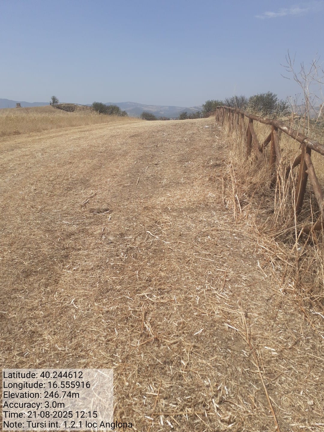 Galleria Fotografica Immagine