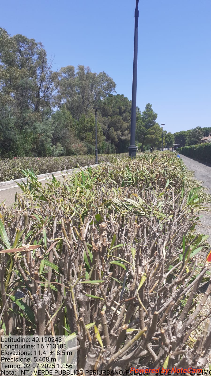 Galleria Fotografica Immagine