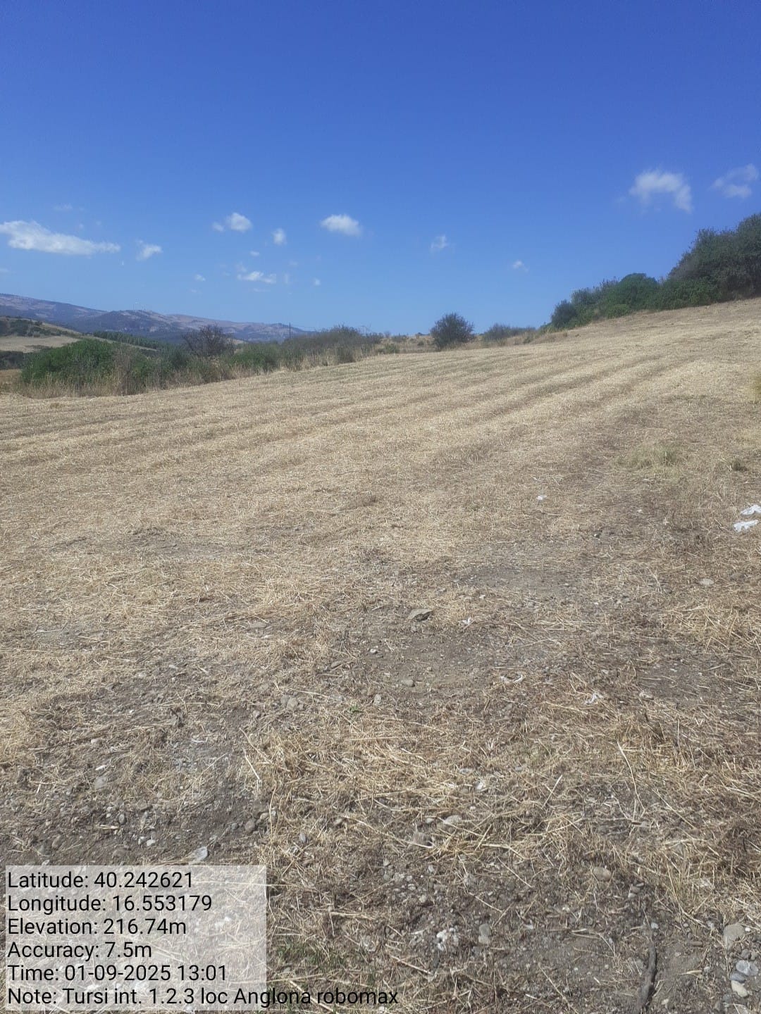 Galleria Fotografica Immagine