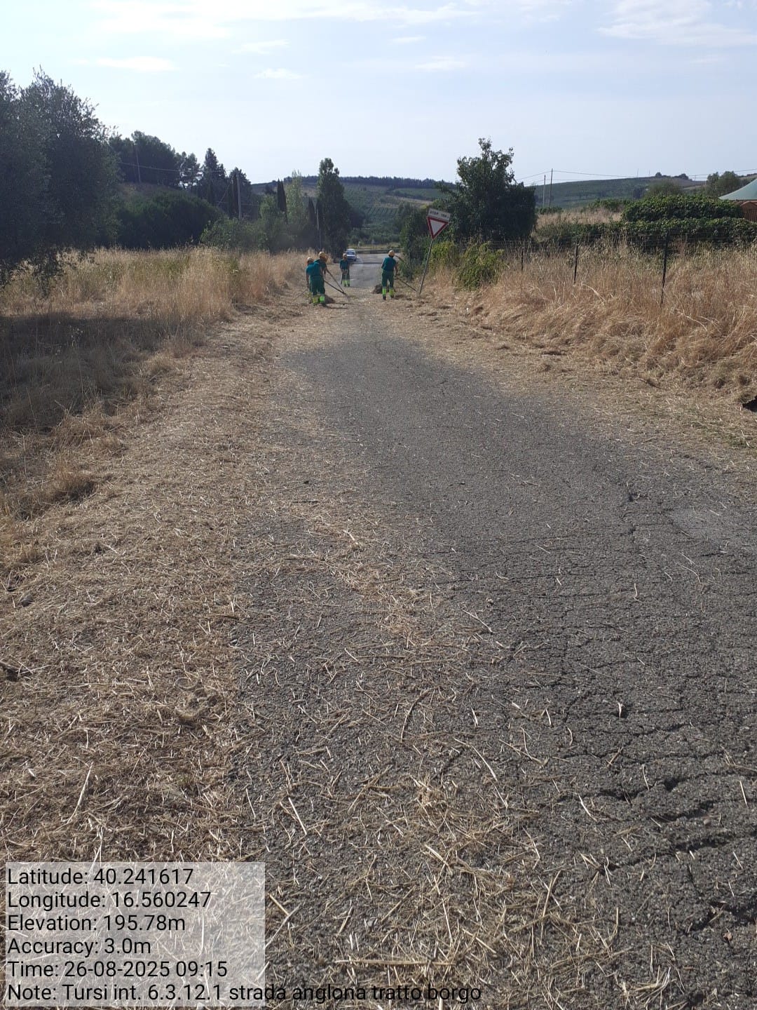 Galleria Fotografica Immagine