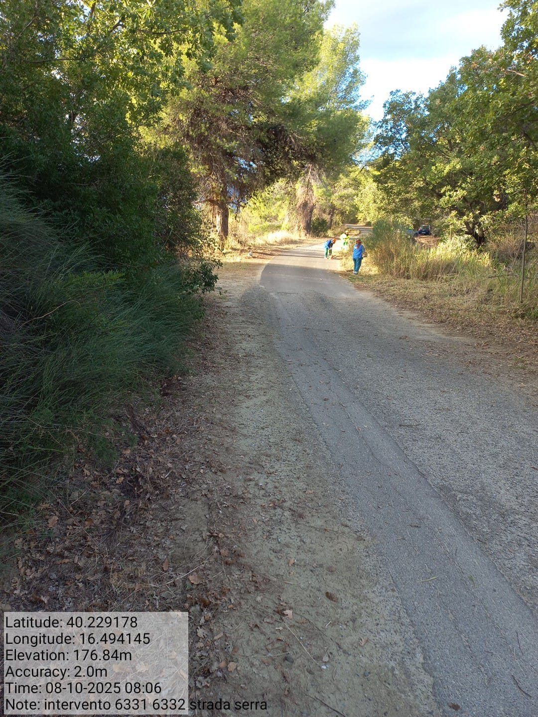 Galleria Fotografica Immagine