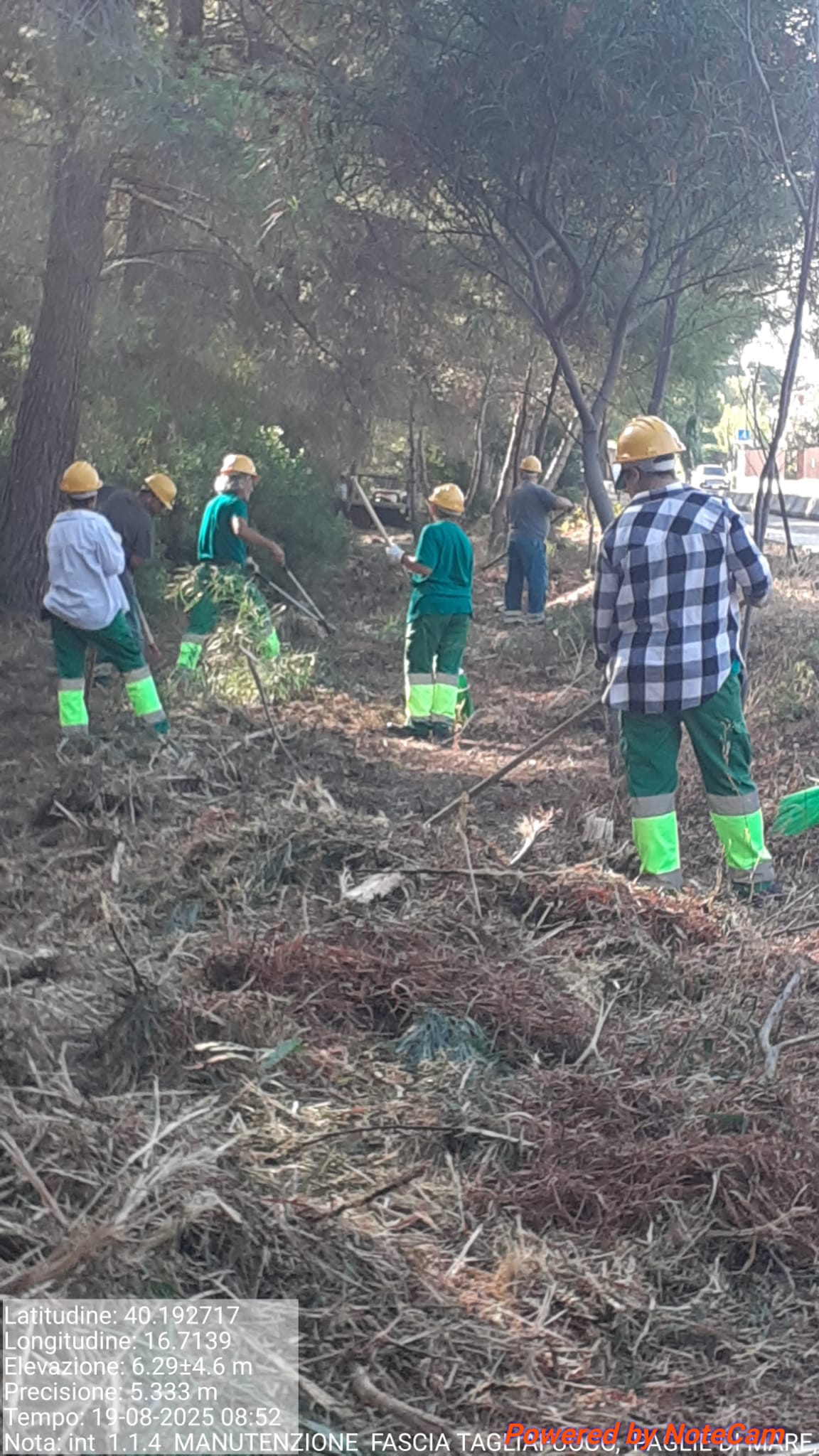 Galleria Fotografica Immagine