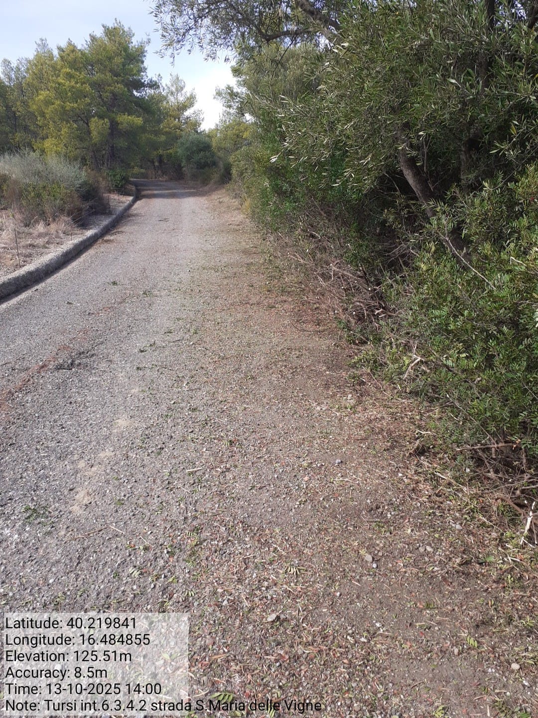 Galleria Fotografica Immagine