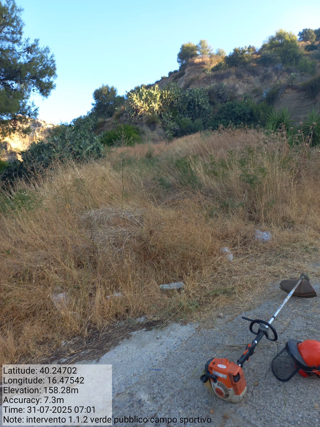 Galleria Fotografica Immagine