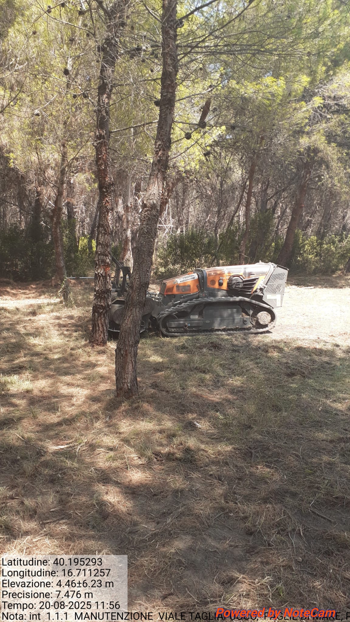 Galleria Fotografica Immagine