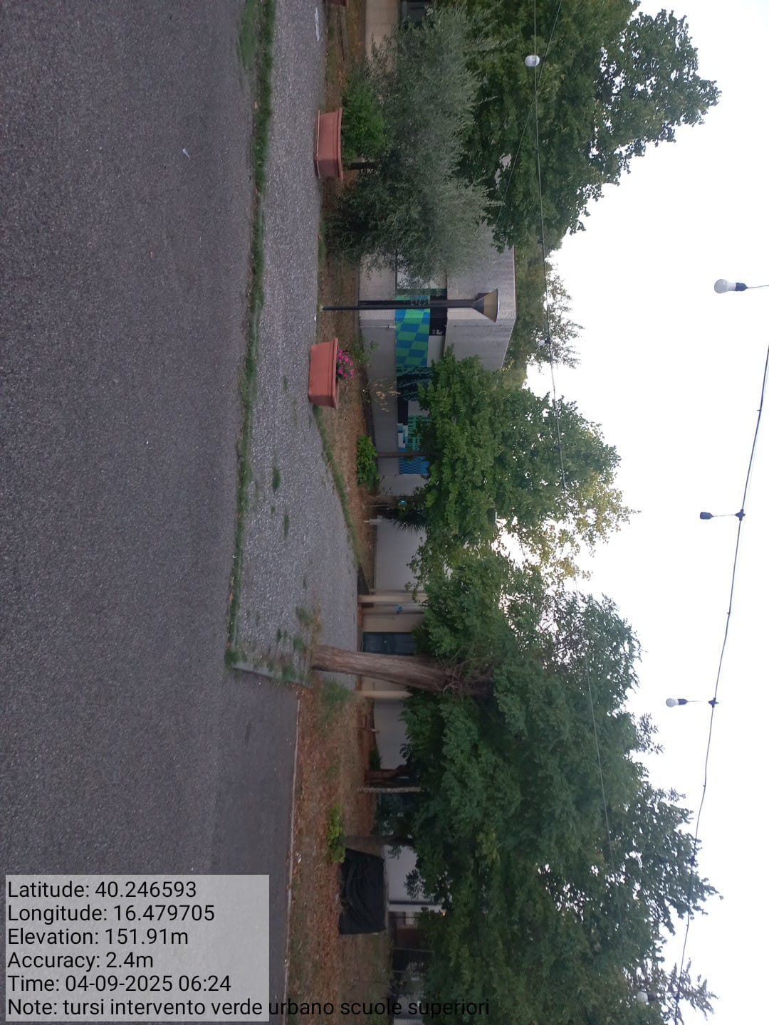 Galleria Fotografica Immagine