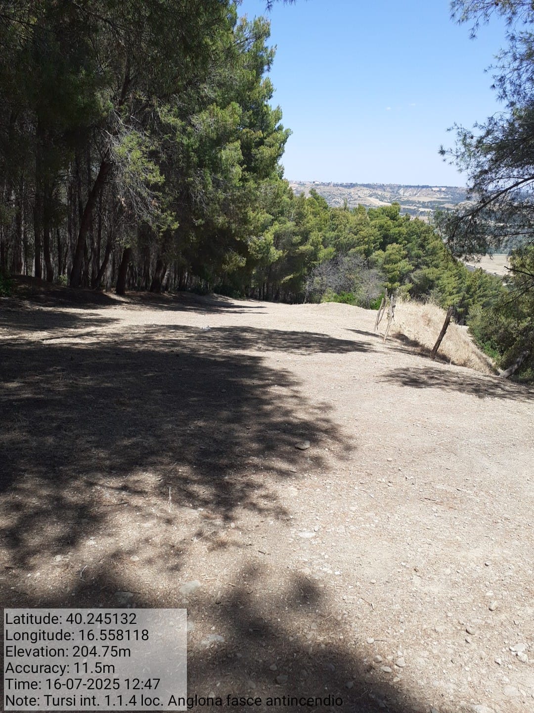 Galleria Fotografica Immagine