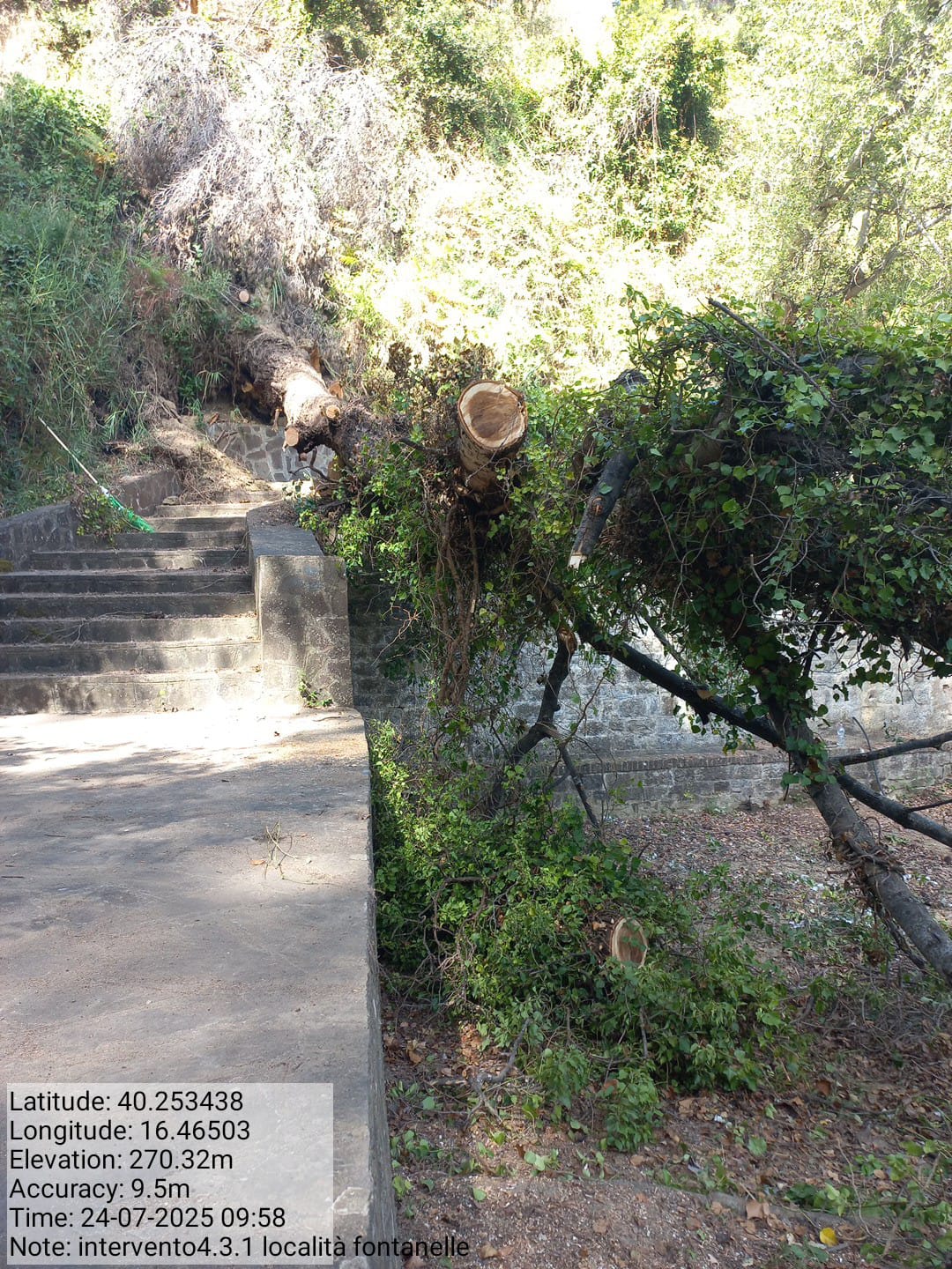 Galleria Fotografica Immagine