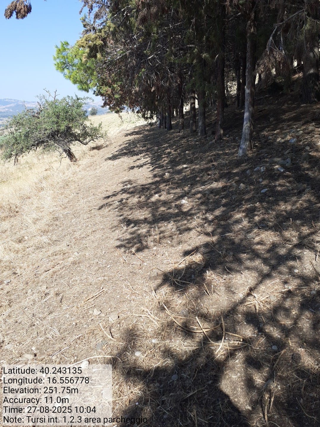 Galleria Fotografica Immagine