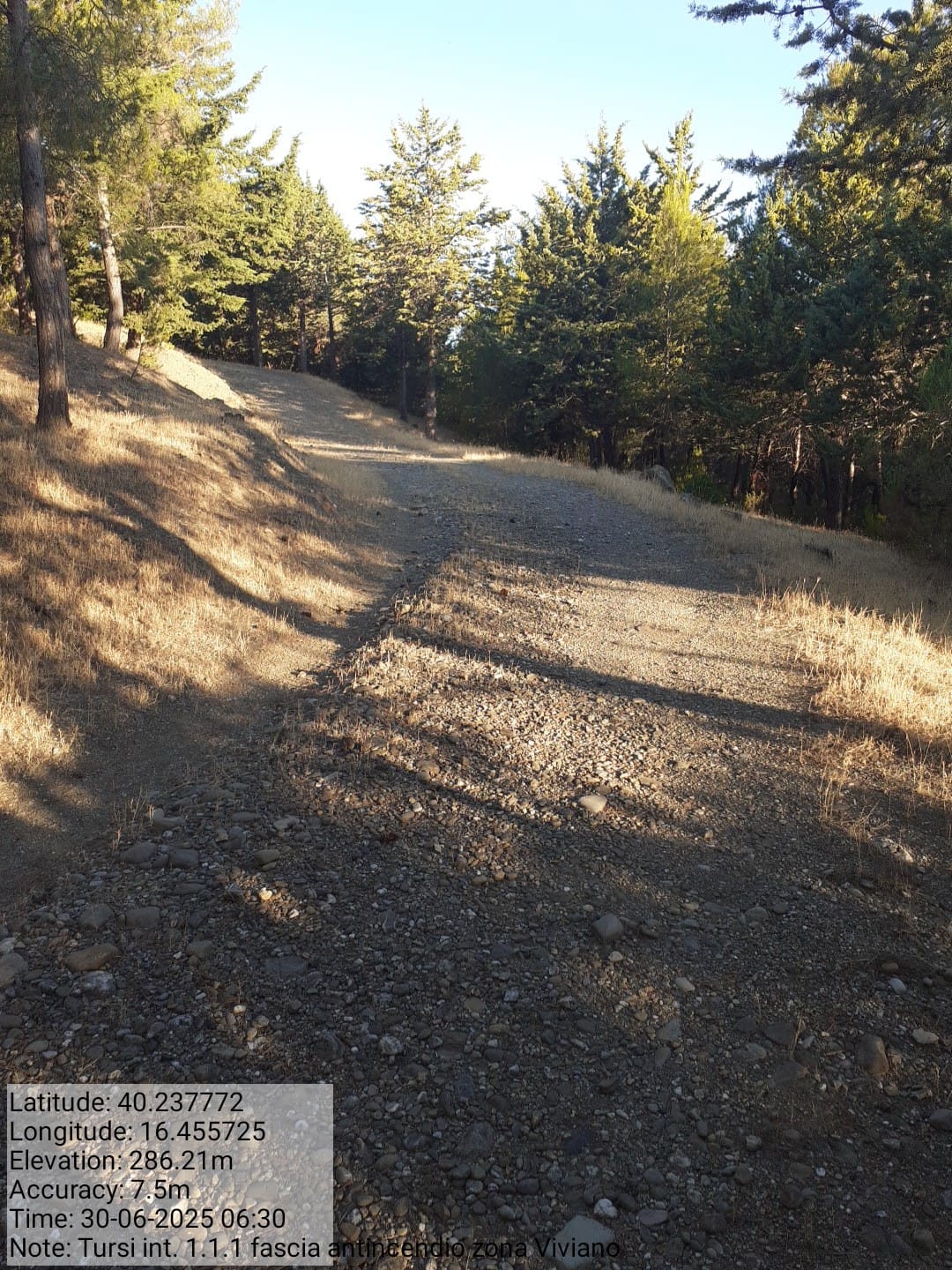 Galleria Fotografica Immagine