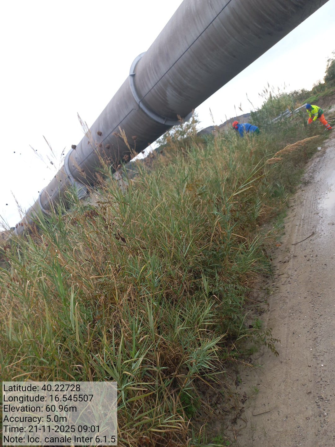 Galleria Fotografica Immagine