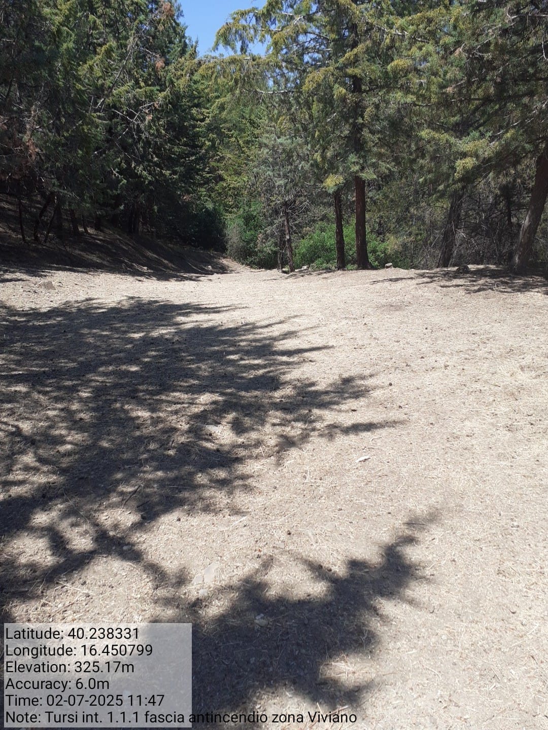 Galleria Fotografica Immagine