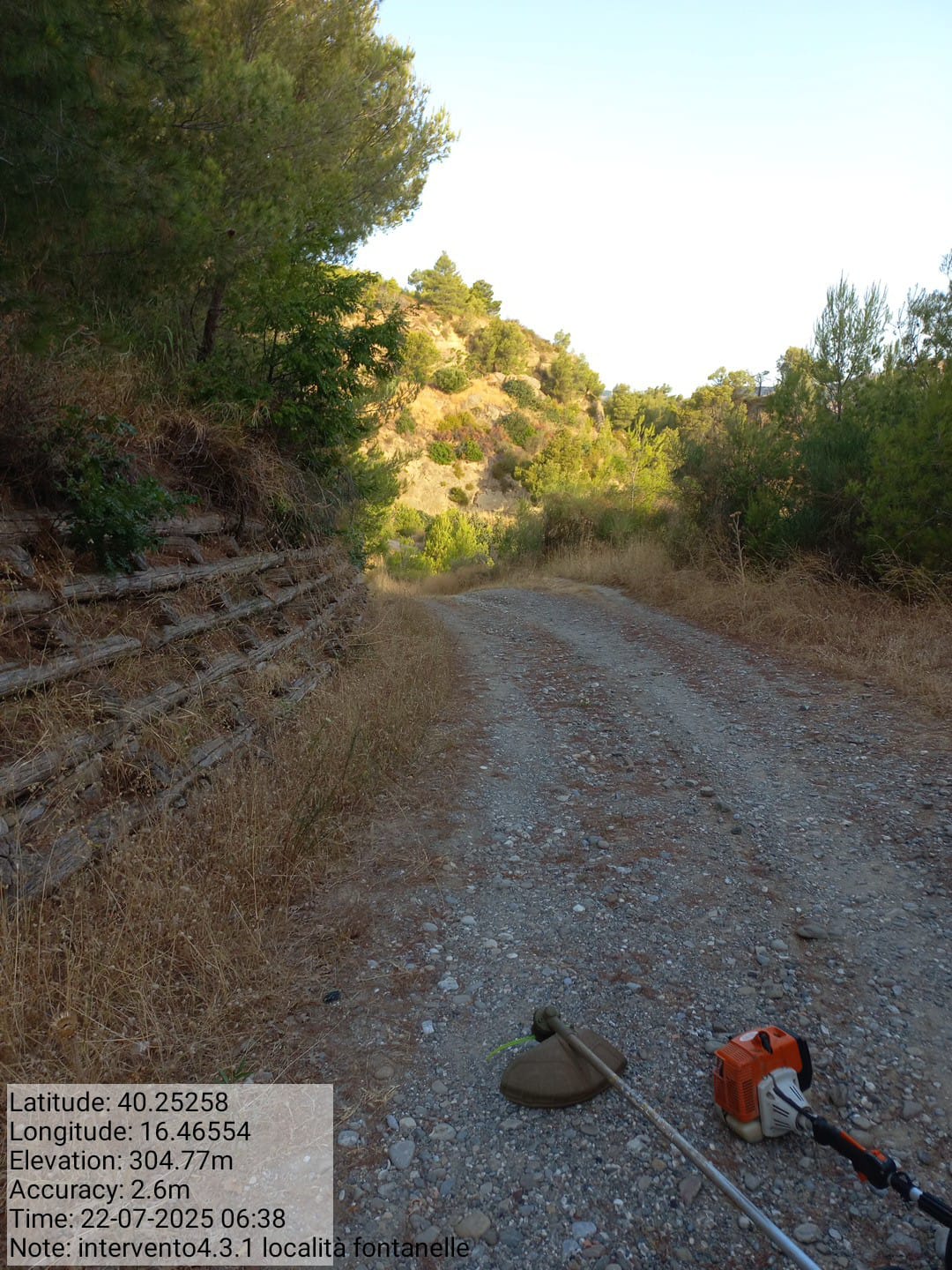 Galleria Fotografica Immagine