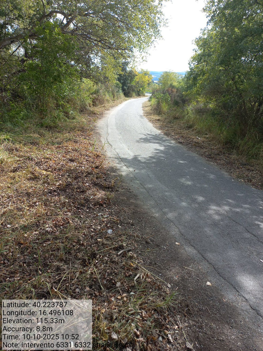 Galleria Fotografica Immagine