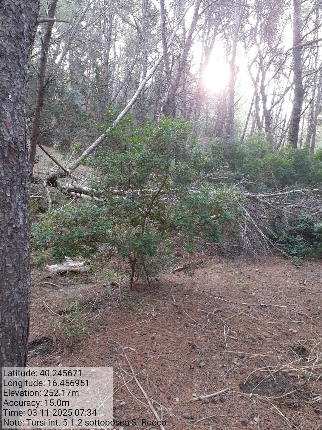 Galleria Fotografica Immagine