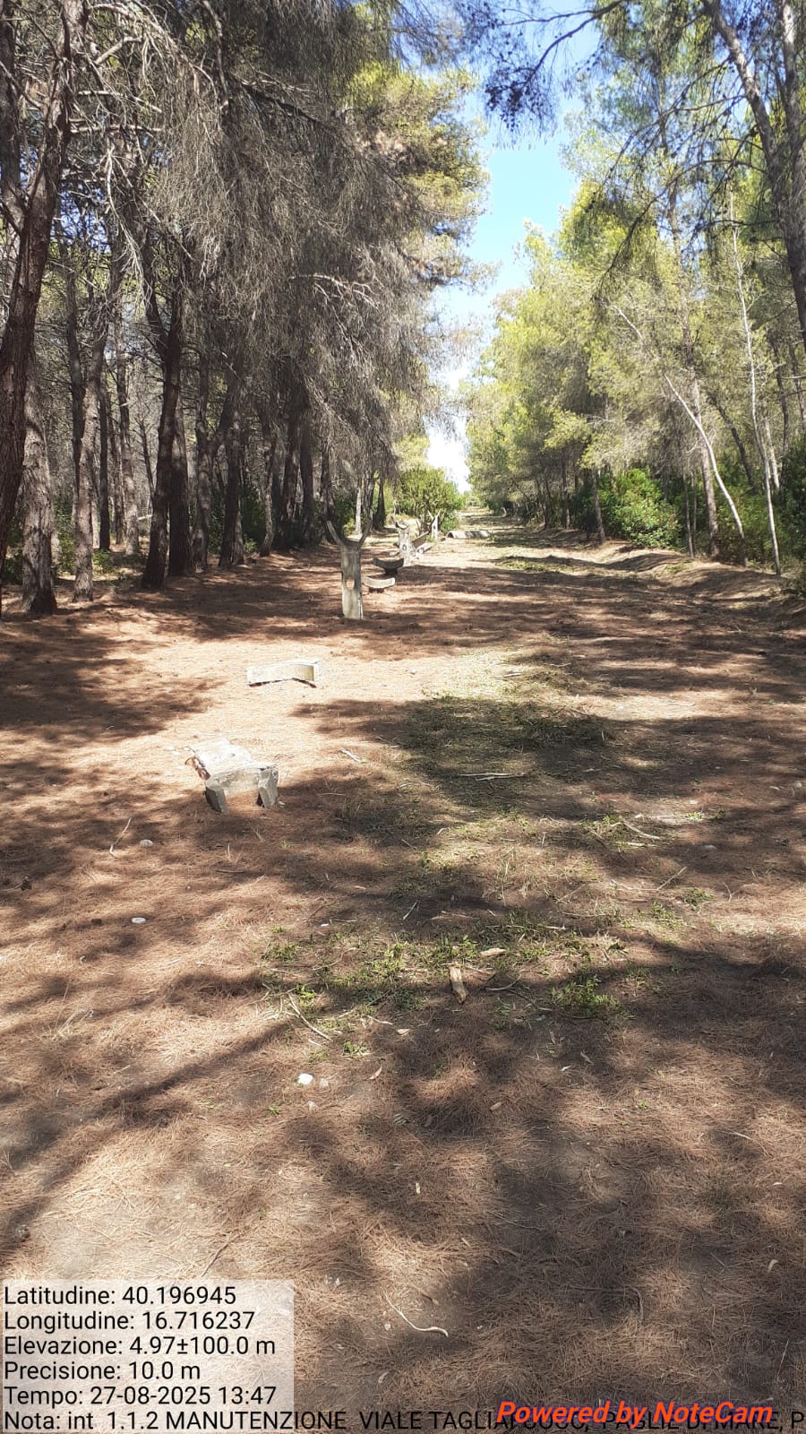 Galleria Fotografica Immagine