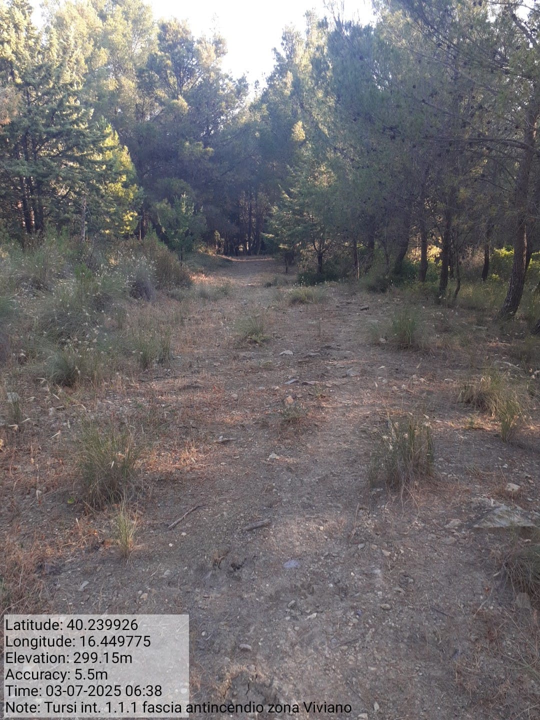 Galleria Fotografica Immagine