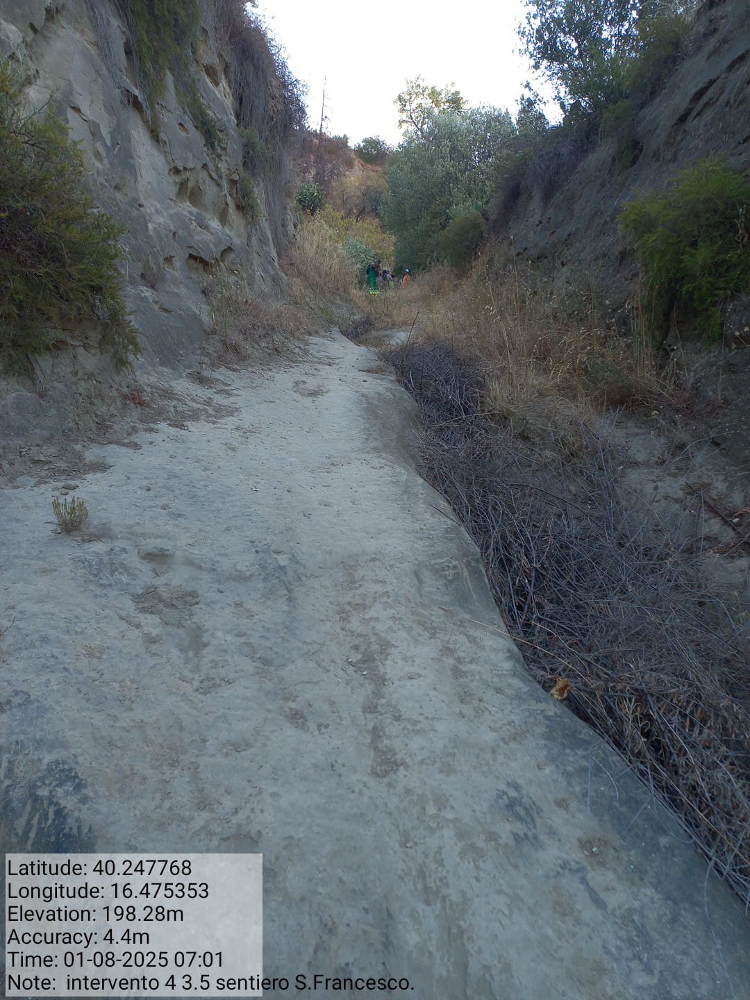 Galleria Fotografica Immagine