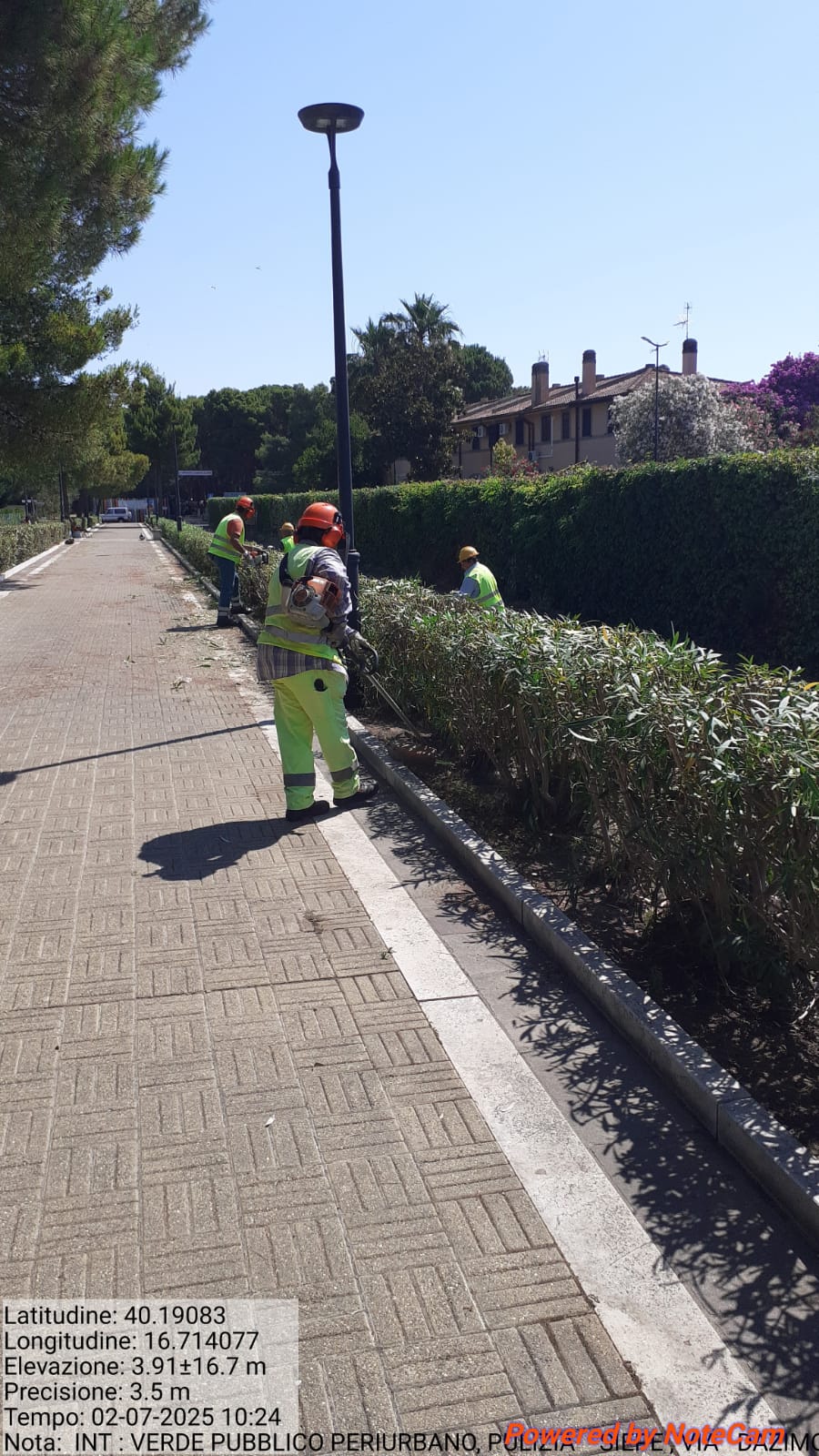 Galleria Fotografica Immagine