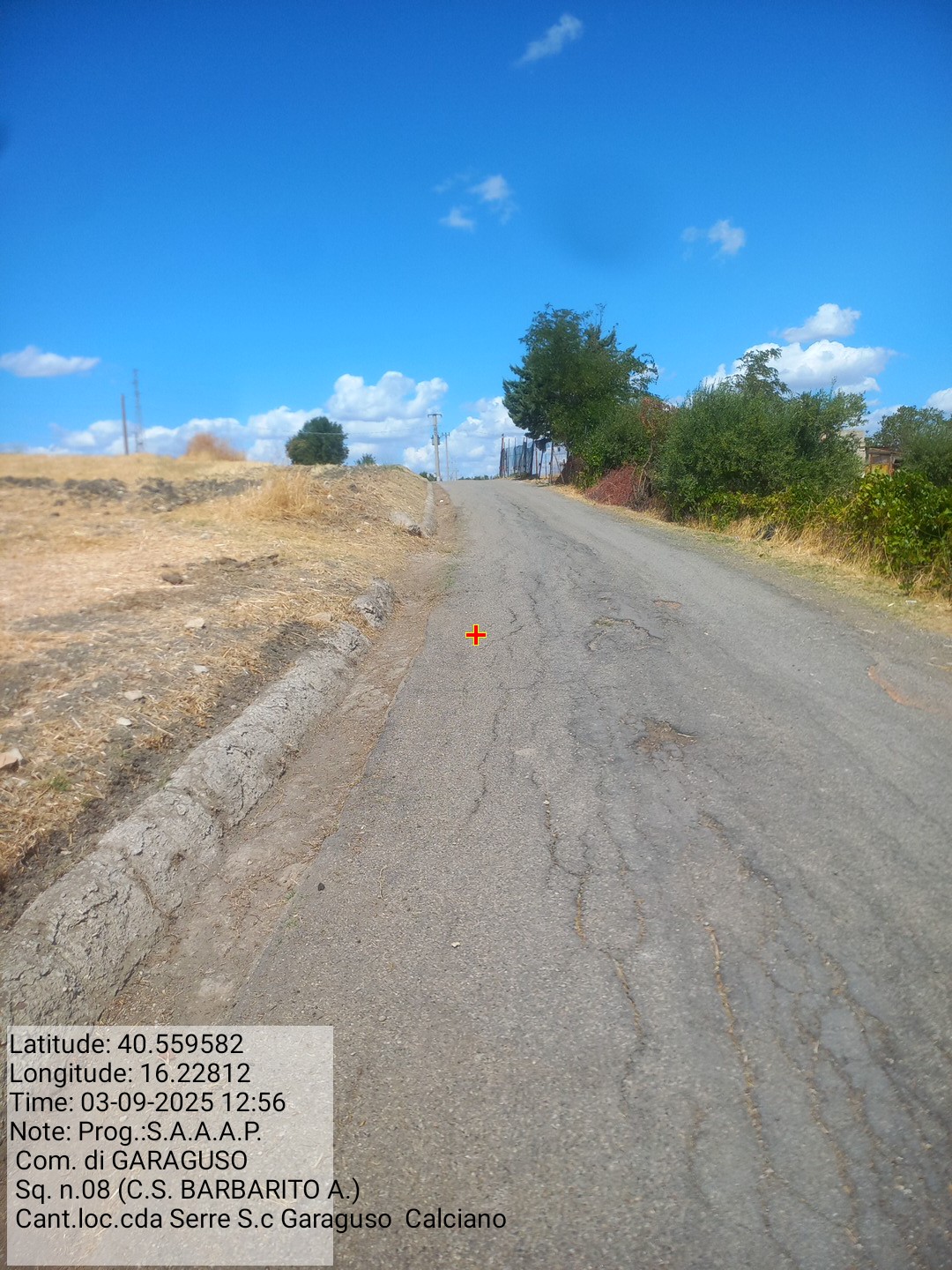 Galleria Fotografica Immagine