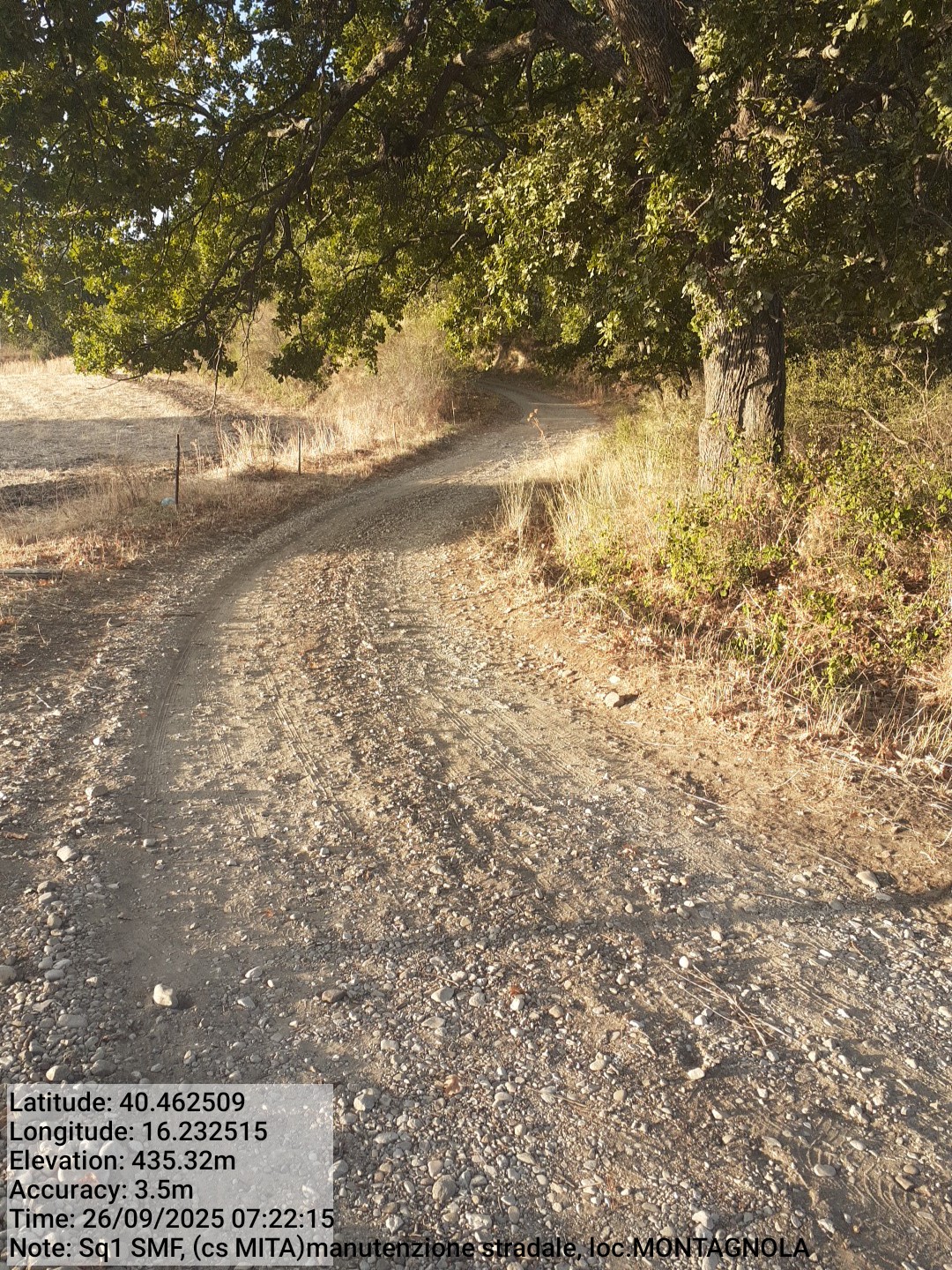 Galleria Fotografica Immagine