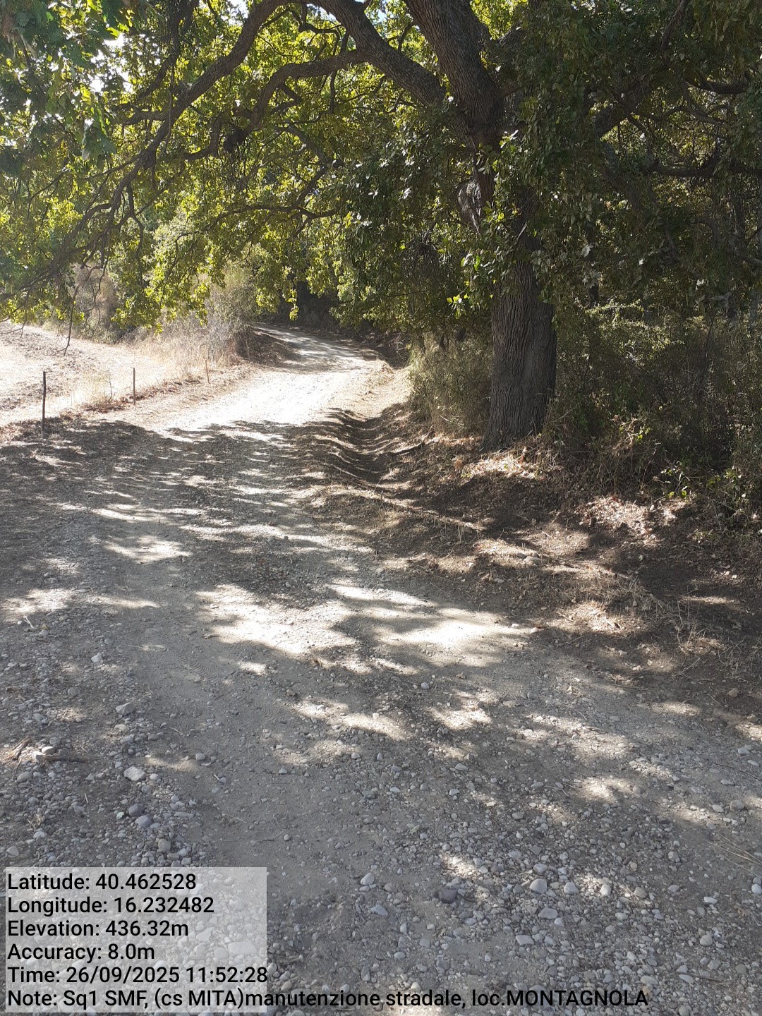 Galleria Fotografica Immagine