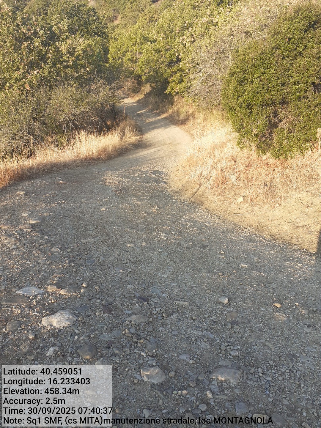 Galleria Fotografica Immagine