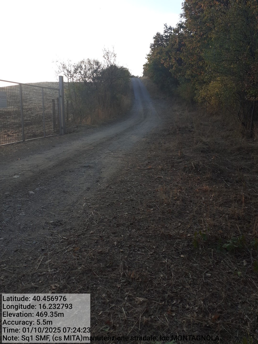 Galleria Fotografica Immagine