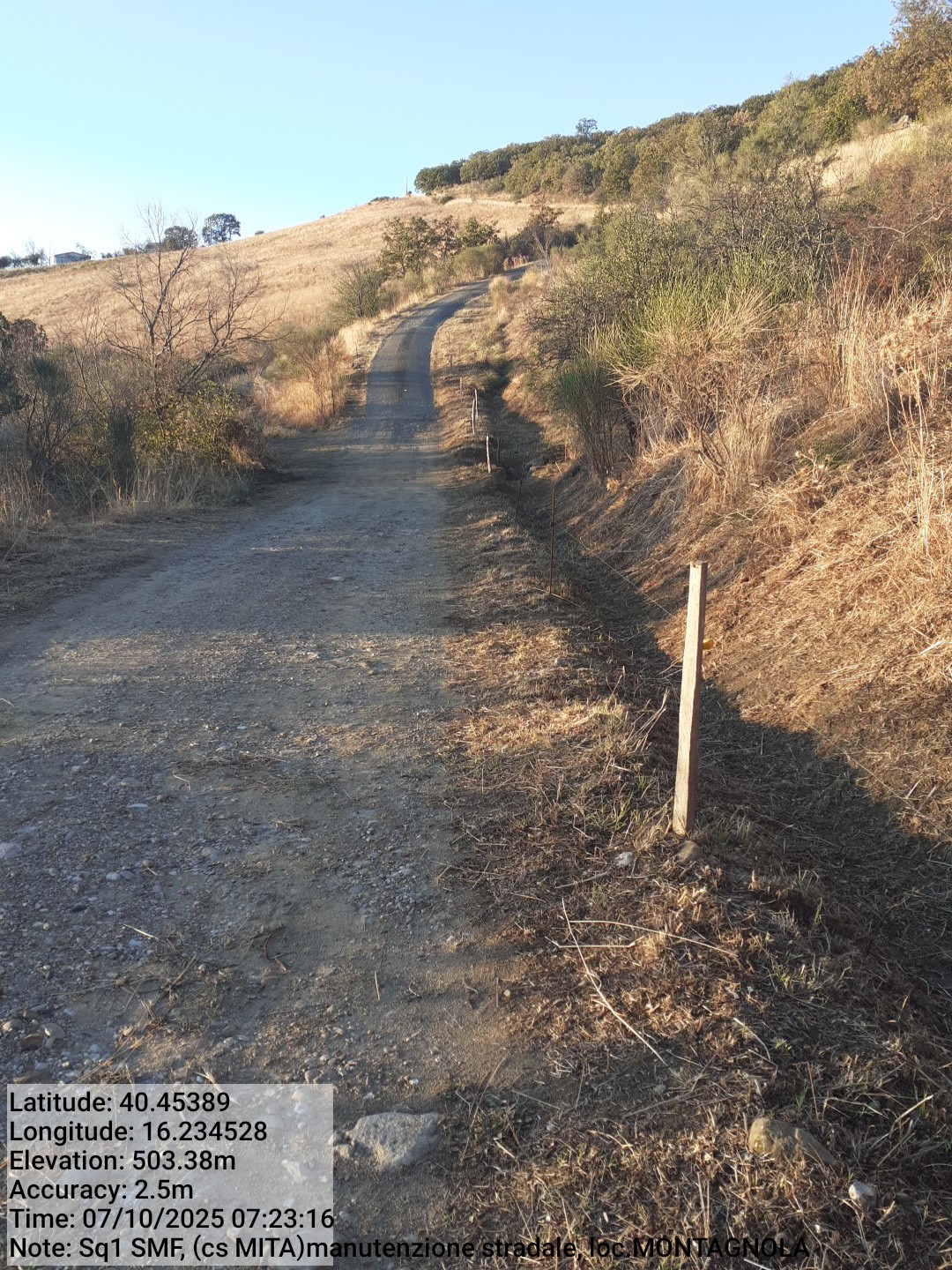 Galleria Fotografica Immagine