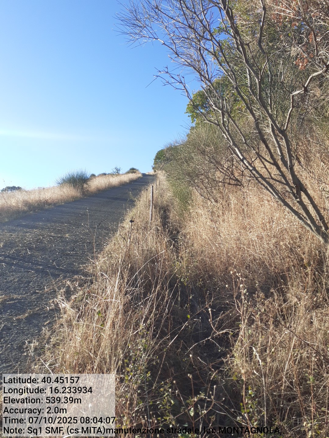 Galleria Fotografica Immagine