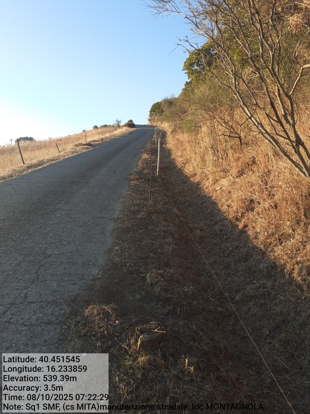 Galleria Fotografica Immagine