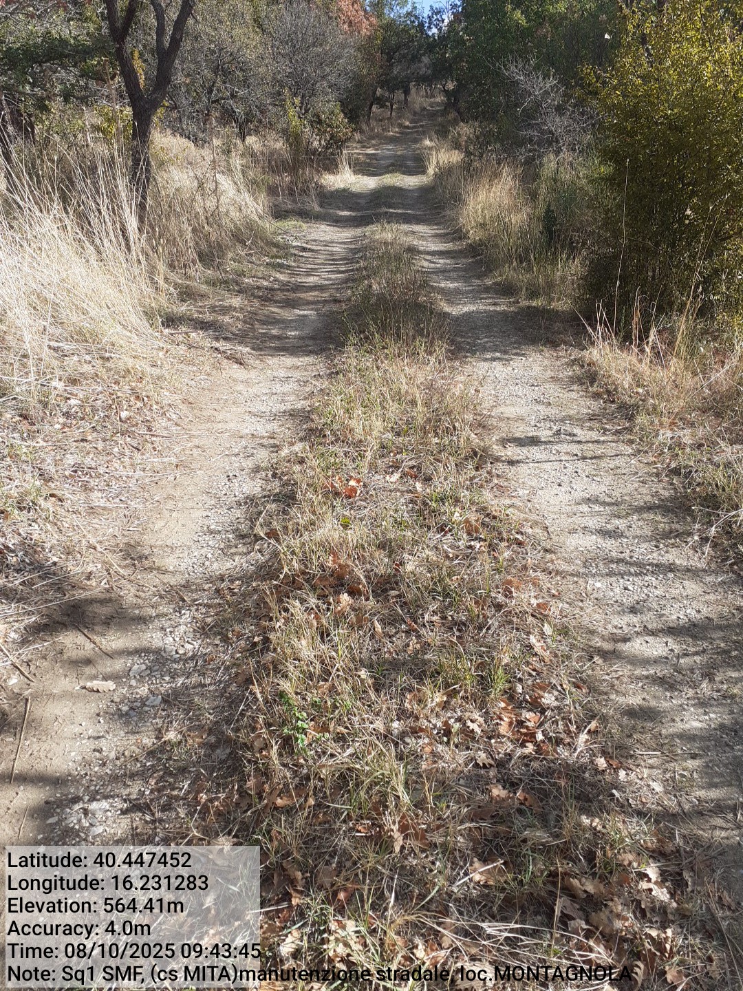 Galleria Fotografica Immagine