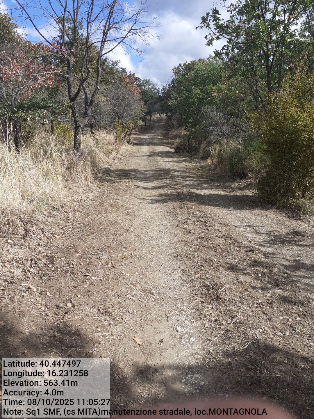 Galleria Fotografica Immagine