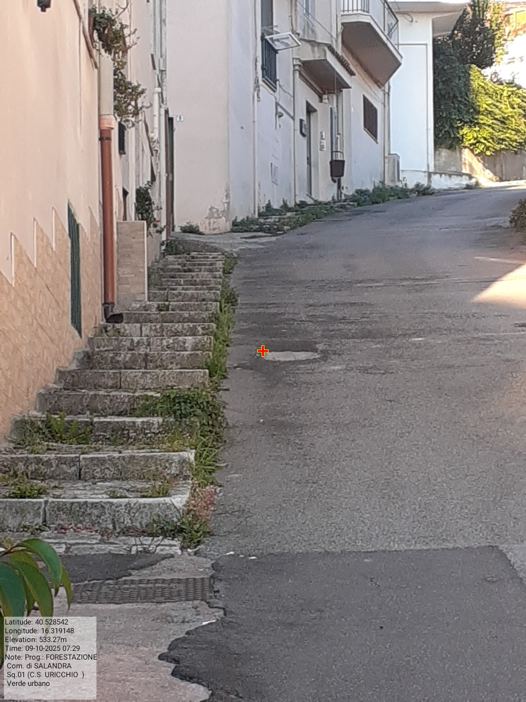 Galleria Fotografica Immagine