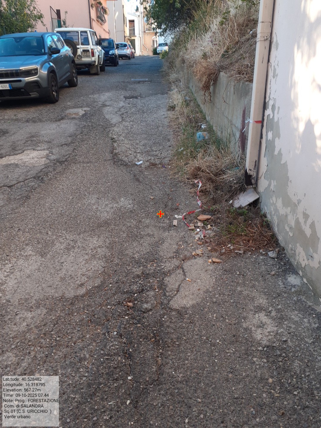 Galleria Fotografica Immagine