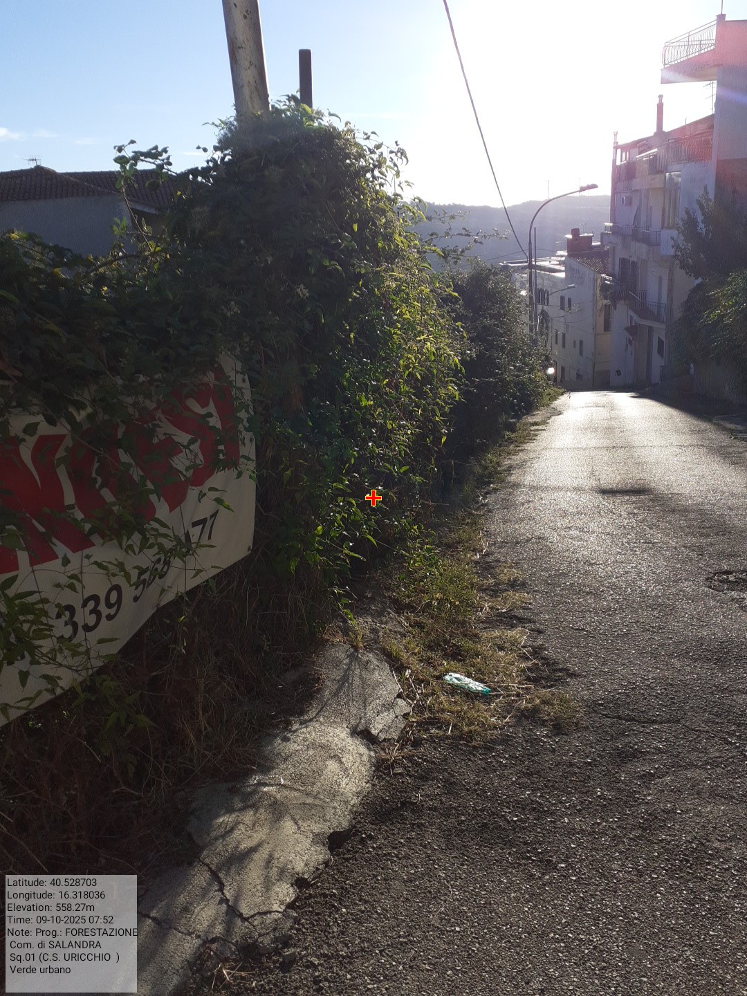 Galleria Fotografica Immagine