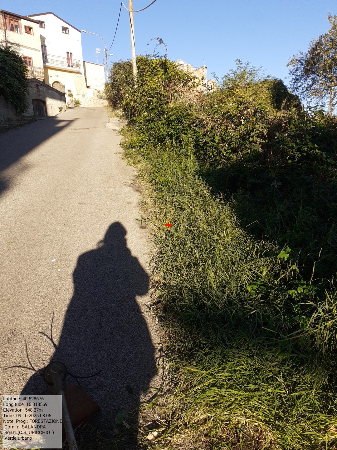 Galleria Fotografica Immagine