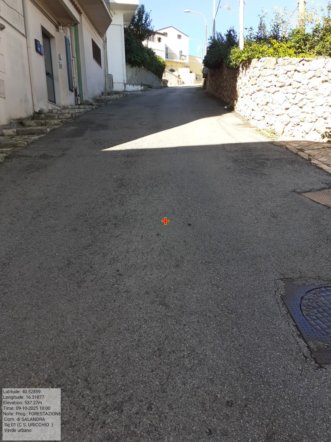 Galleria Fotografica Immagine