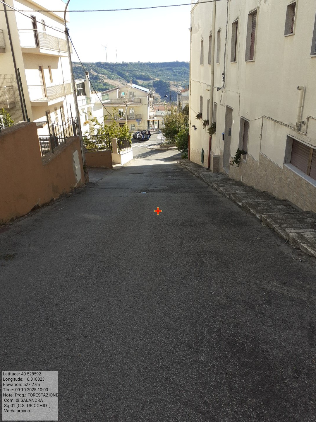 Galleria Fotografica Immagine