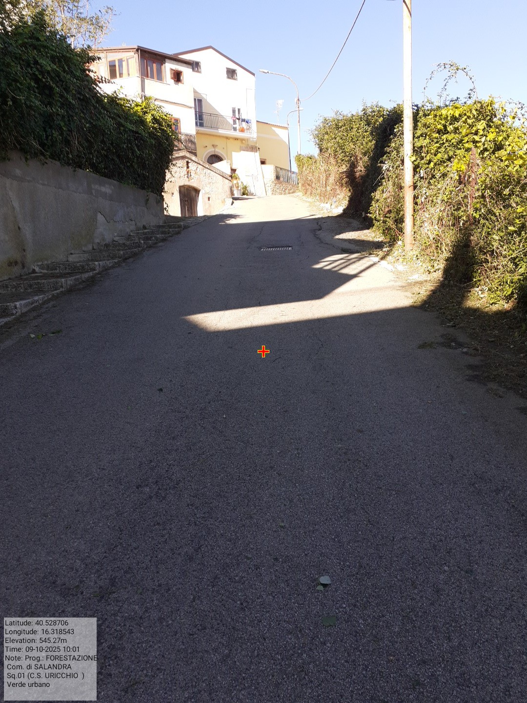 Galleria Fotografica Immagine